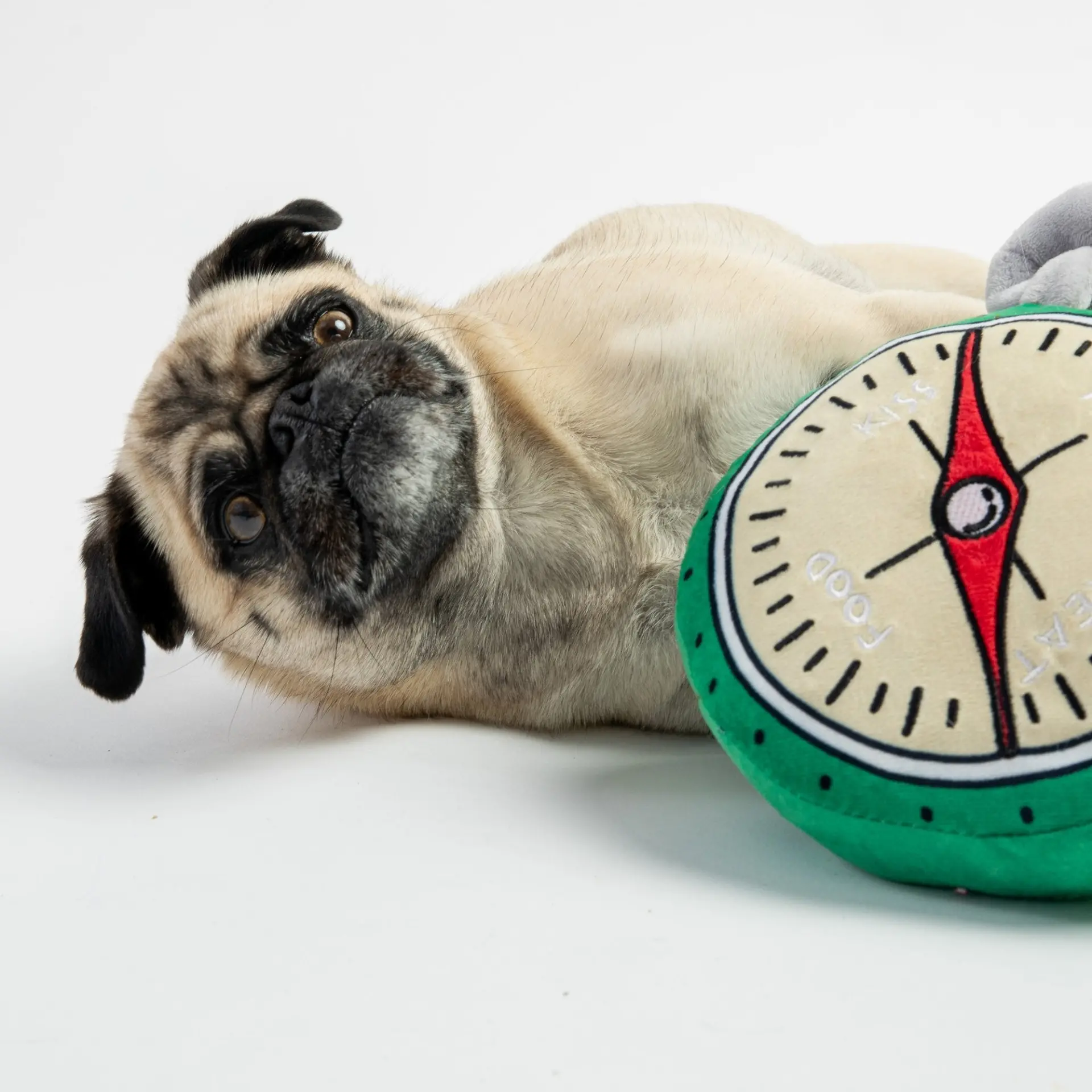 Compass- Dog Toy - Image 2