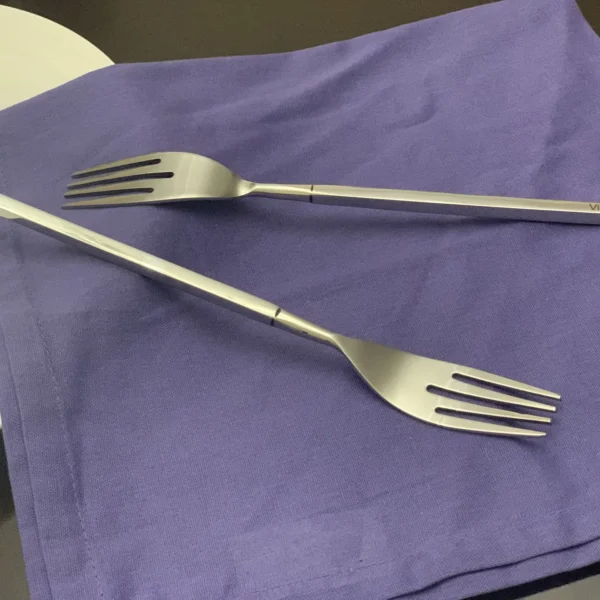 Vibhsa Stainless Steel Dinner Fork Set of 6